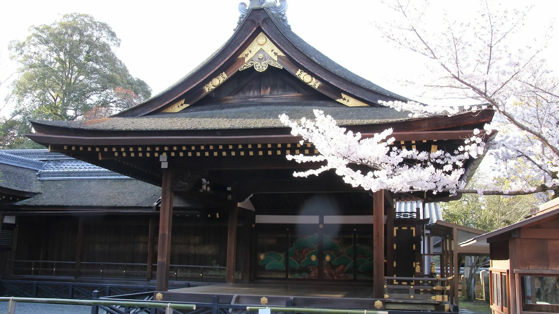 Kyoto Stay Sakura Fushimi Inari Japan